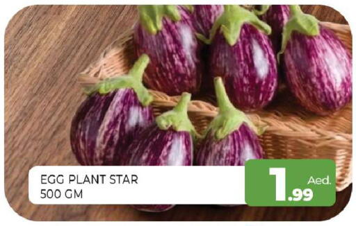 available at Al Madina  in UAE - Sharjah / Ajman