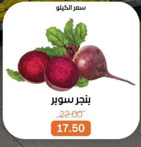 available at بيت الجملة in Egypt - القاهرة