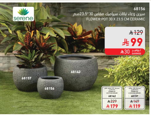 available at SACO in KSA, Saudi Arabia, Saudi - Sakaka