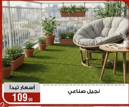 available at Al Morshedy  in Egypt - Cairo