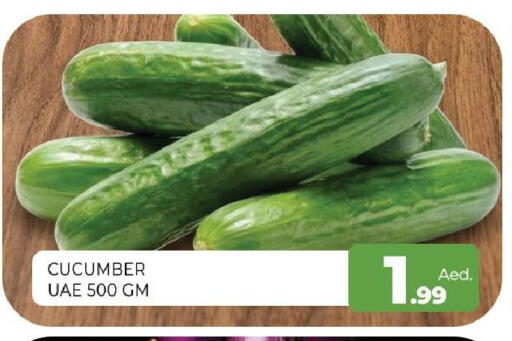Cucumber available at المدينة in الإمارات العربية المتحدة , الامارات - الشارقة / عجمان