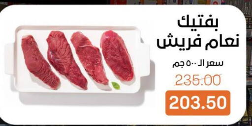 available at بيت الجملة in Egypt - القاهرة