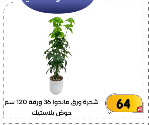 available at تخفيضات العائلة in مملكة العربية السعودية, السعودية, سعودية - المنطقة الشرقية