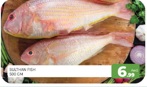 available at المدينة in الإمارات العربية المتحدة , الامارات - الشارقة / عجمان