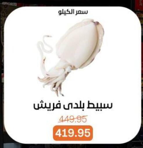 available at بيت الجملة in Egypt - القاهرة