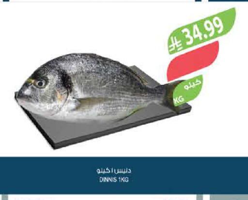 available at المزرعة in مملكة العربية السعودية, السعودية, سعودية - الرياض