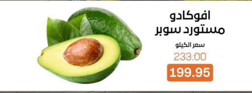 available at بيت الجملة in Egypt - القاهرة