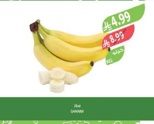 Banana available at المزرعة in مملكة العربية السعودية, السعودية, سعودية - الرياض
