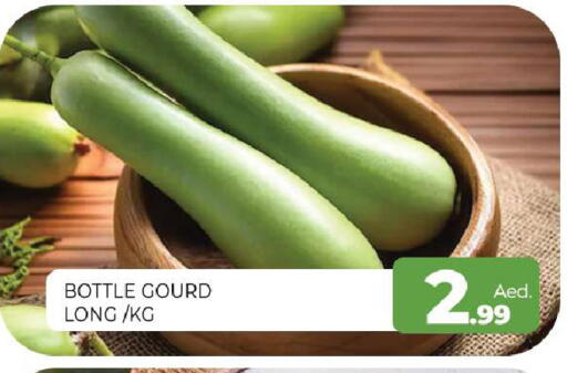 available at المدينة in الإمارات العربية المتحدة , الامارات - الشارقة / عجمان