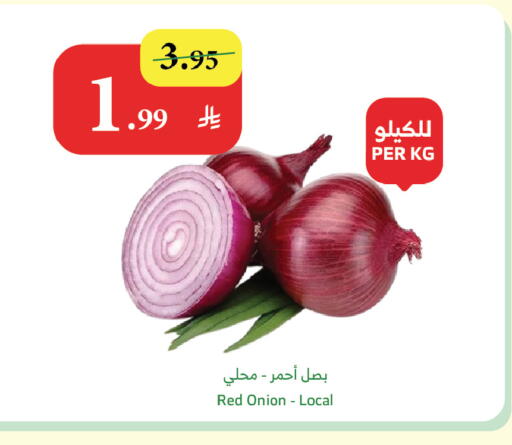 Onion available at Al Raya in KSA, Saudi Arabia, Saudi - Jazan