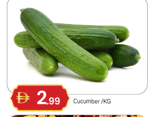 Cucumber available at سوق طلال in الإمارات العربية المتحدة , الامارات - دبي