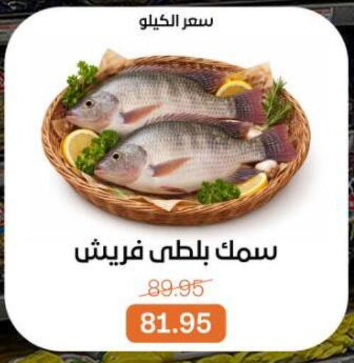 available at بيت الجملة in Egypt - القاهرة