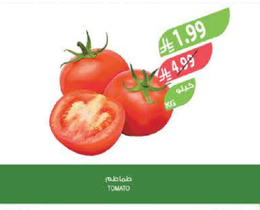 Tomato available at Farm  in KSA, Saudi Arabia, Saudi - Riyadh