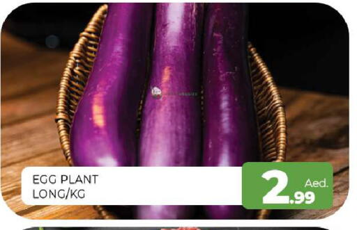 available at Al Madina  in UAE - Sharjah / Ajman