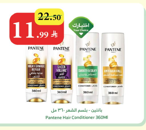 available at الراية in مملكة العربية السعودية, السعودية, سعودية - الطائف