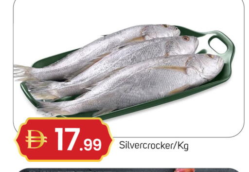 available at سوق طلال in الإمارات العربية المتحدة , الامارات - دبي