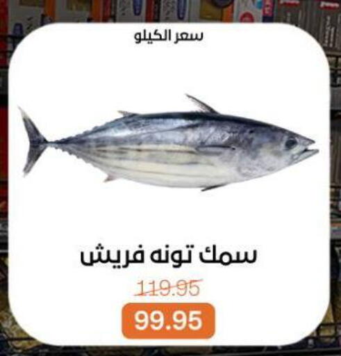 available at بيت الجملة in Egypt - القاهرة