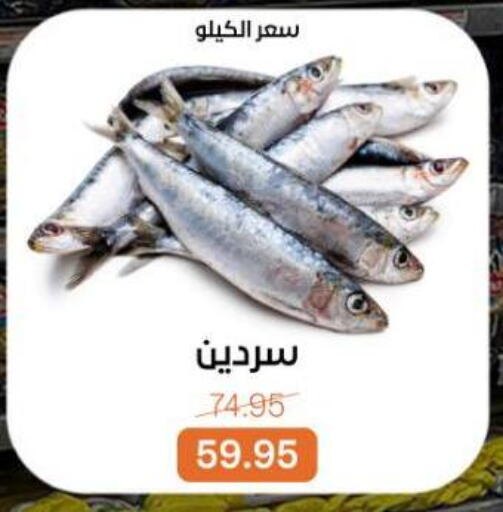 available at بيت الجملة in Egypt - القاهرة