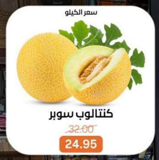 available at بيت الجملة in Egypt - القاهرة