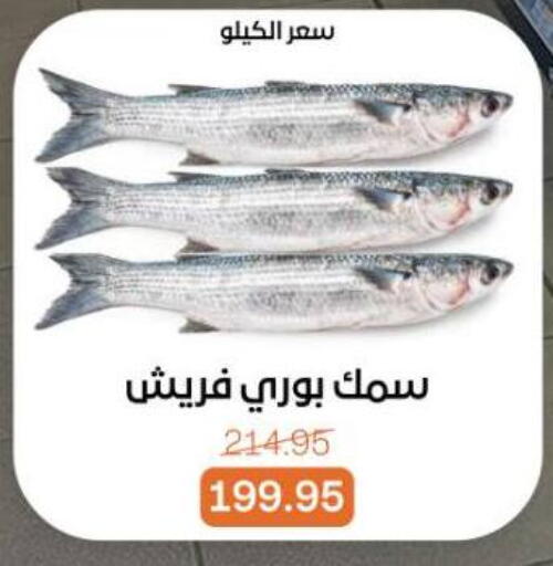 available at بيت الجملة in Egypt - القاهرة