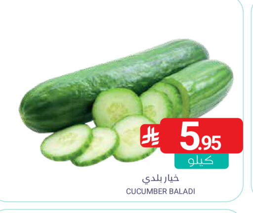 Cucumber available at Muntazah Markets in KSA, Saudi Arabia, Saudi - Saihat