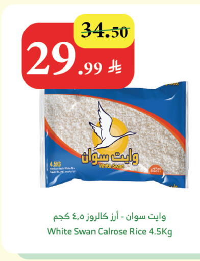 available at Al Raya in KSA, Saudi Arabia, Saudi - Tabuk