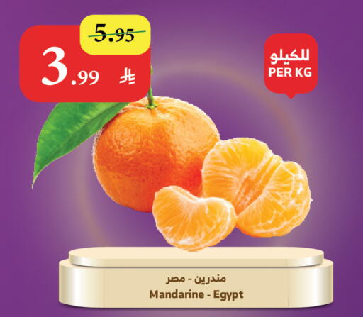 from Egypt available at Al Raya in KSA, Saudi Arabia, Saudi - Jazan