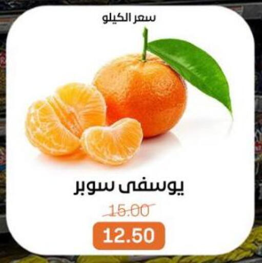 available at بيت الجملة in Egypt - القاهرة