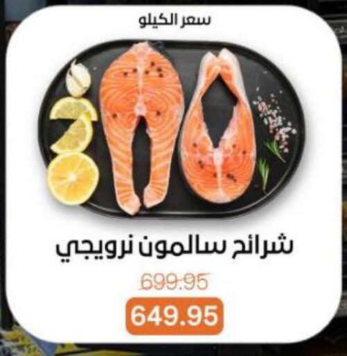 available at بيت الجملة in Egypt - القاهرة