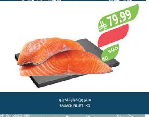 available at المزرعة in مملكة العربية السعودية, السعودية, سعودية - الرياض