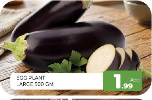 available at Al Madina  in UAE - Sharjah / Ajman