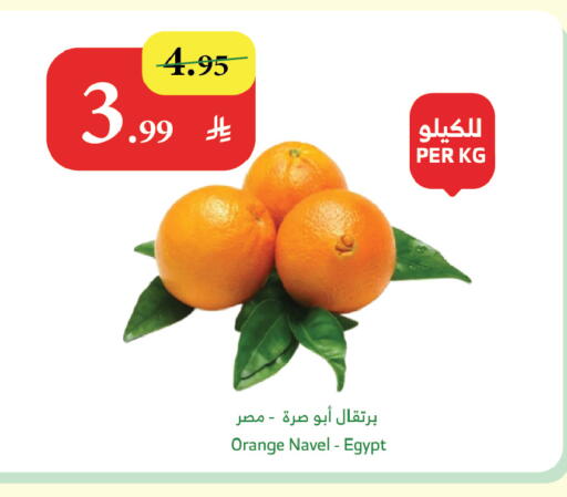 Orange from Egypt available at Al Raya in KSA, Saudi Arabia, Saudi - Jazan