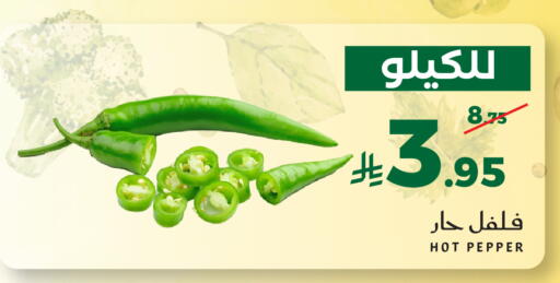 Pepper available at ميرا مارت مول in مملكة العربية السعودية, السعودية, سعودية - جدة