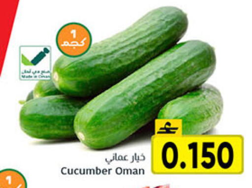 Cucumber from Oman available at Al Amri Center in Oman - Salalah