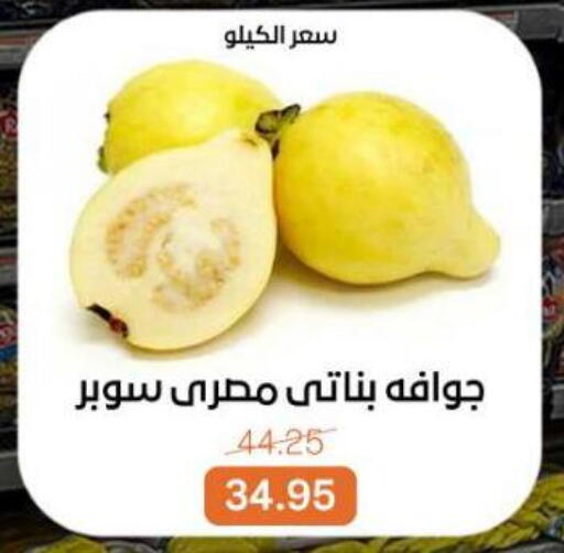 available at Beit El Gomla in Egypt - Cairo