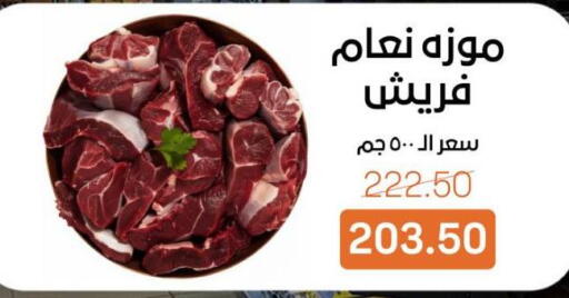 available at Beit El Gomla in Egypt - Cairo