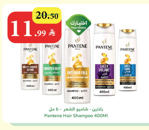 available at Al Raya in KSA, Saudi Arabia, Saudi - Ta'if