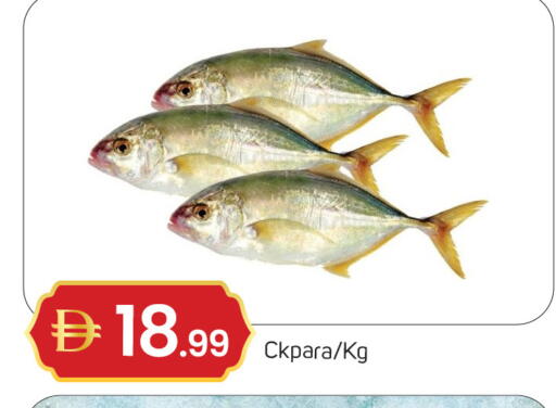 available at سوق طلال in الإمارات العربية المتحدة , الامارات - دبي