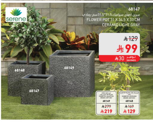 available at SACO in KSA, Saudi Arabia, Saudi - Riyadh