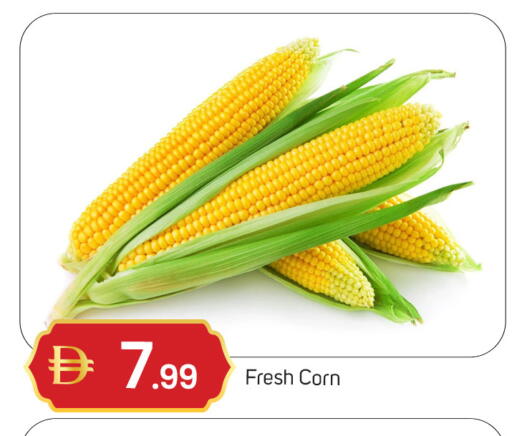 available at سوق طلال in الإمارات العربية المتحدة , الامارات - دبي