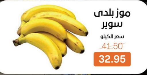 available at Beit El Gomla in Egypt - Cairo