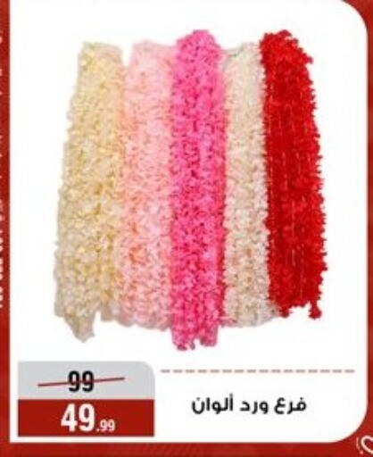 available at المرشدي in Egypt - القاهرة