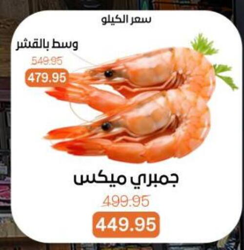 available at بيت الجملة in Egypt - القاهرة