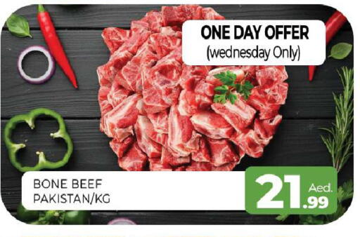 available at المدينة in الإمارات العربية المتحدة , الامارات - الشارقة / عجمان