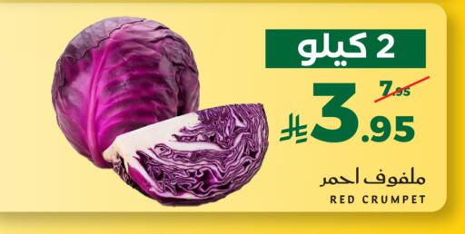 available at ميرا مارت مول in مملكة العربية السعودية, السعودية, سعودية - جدة