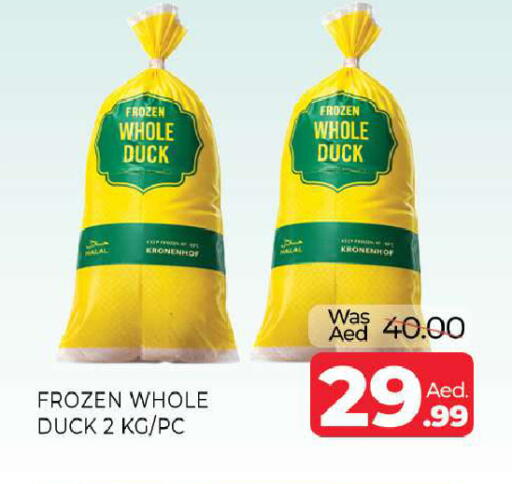 available at المدينة in الإمارات العربية المتحدة , الامارات - الشارقة / عجمان