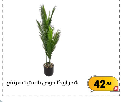 available at تخفيضات العائلة in مملكة العربية السعودية, السعودية, سعودية - المنطقة الشرقية