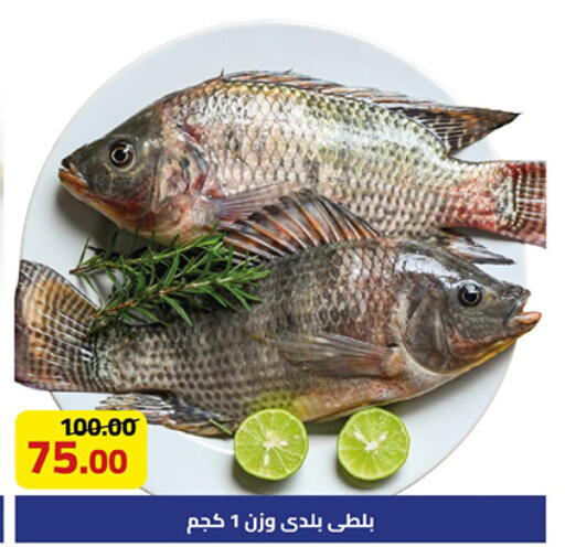 available at جراندي هايبر ماركت in Egypt - القاهرة