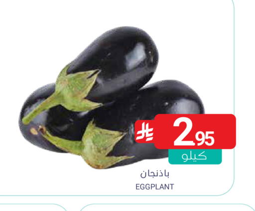 Eggplant available at اسواق المنتزه in مملكة العربية السعودية, السعودية, سعودية - القطيف‎