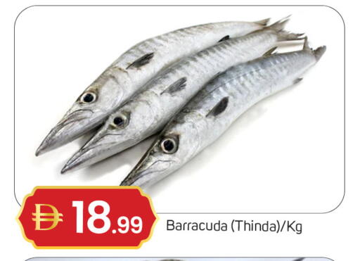 available at سوق طلال in الإمارات العربية المتحدة , الامارات - دبي